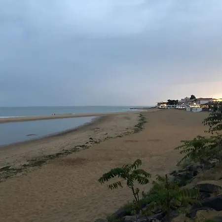 Tres Grande Maison, Plage 8 Mn A Pied. 10 Velos. 펜션